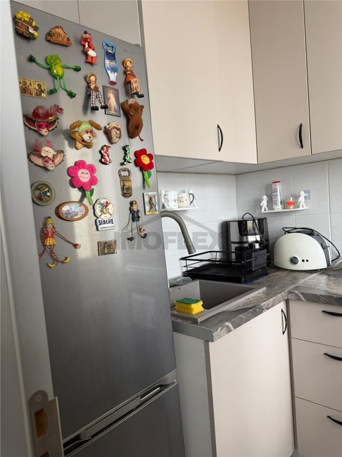 Comision 0! Studio modern Vedere panoramica la lac Lacul Plumbuita - foto 24