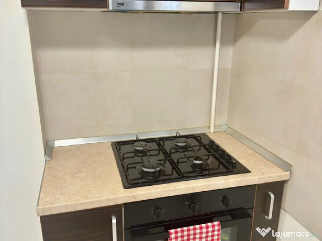 Mobilat si utilat modern vizavi de  Iulius Mall - foto 7