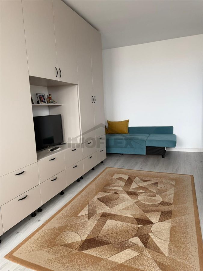 Comision 0! Negociabil Studio modern Vedere panoramica la lac Lacul Plumbuita - 