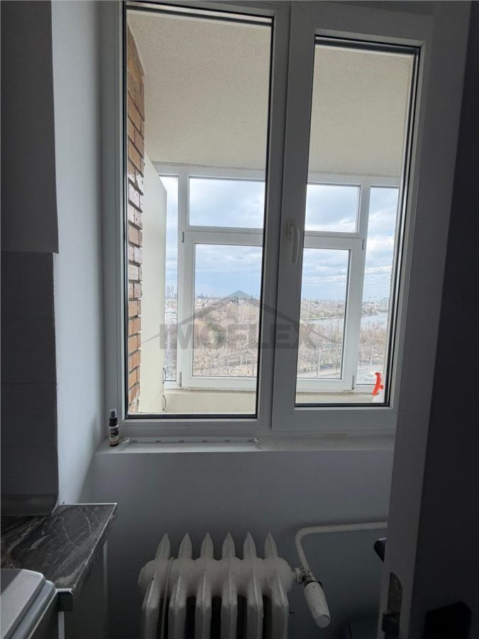 Comision 0! Negociabil Studio modern Vedere panoramica la lac Lacul Plumbuita - foto 21