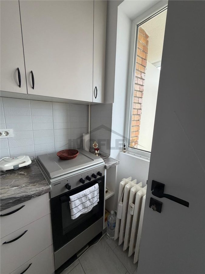 Comision 0! Negociabil Studio modern Vedere panoramica la lac Lacul Plumbuita - foto 22