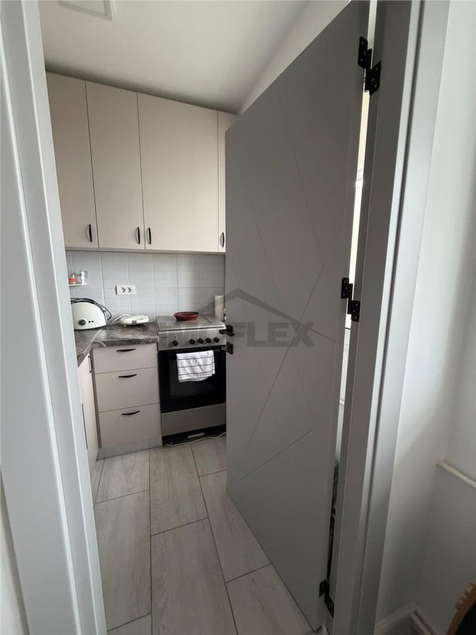 Comision 0! Negociabil Studio modern Vedere panoramica la lac Lacul Plumbuita - foto 23