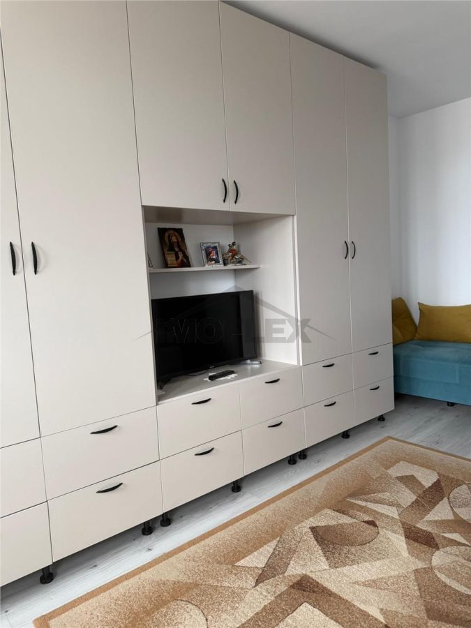 Comision 0! Negociabil Studio modern Vedere panoramica la lac Lacul Plumbuita - foto 7