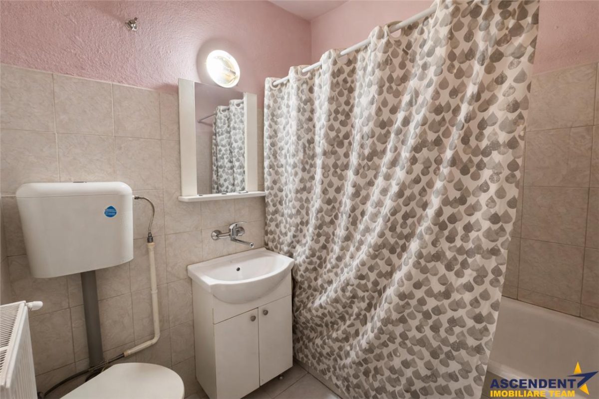 Casa potential:locuire multifamiliala,activitati comerciale,birouri,677 mp teren - foto 10