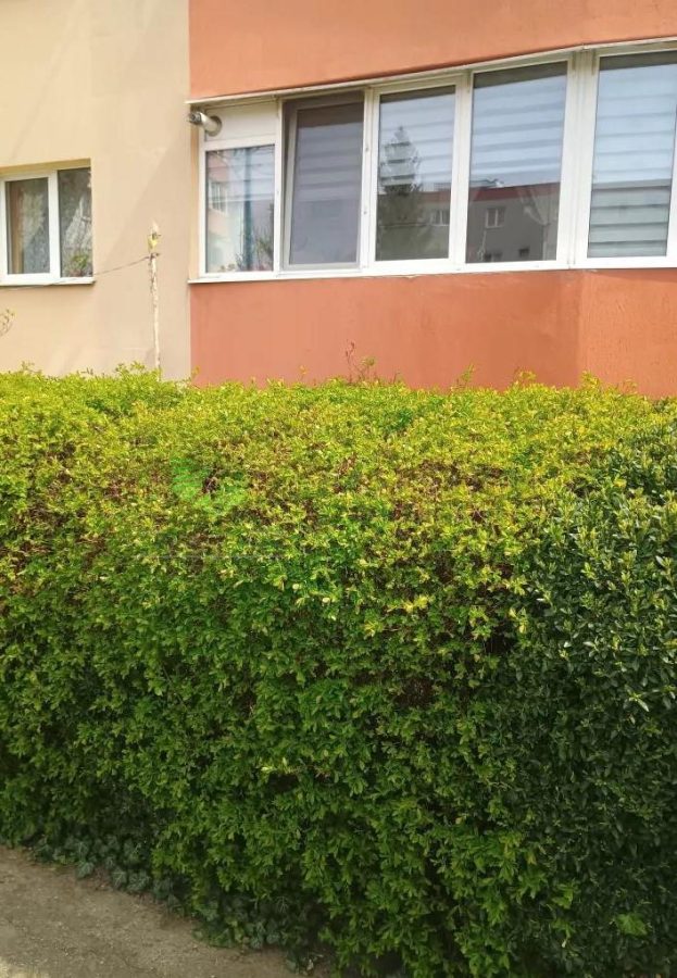 Apartament 2 camere zona Faget decomandat,92000 Euro - foto 11