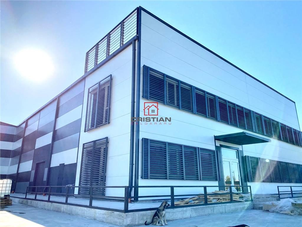 Inchiriere depozit frigorific congelare/hala/spatiu industrial Otopeni - Centura, Ilfov - foto 4