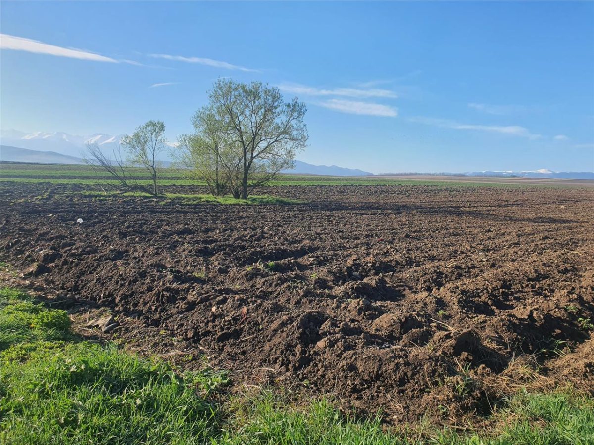 Teren extravilan 4.500- max.18.300mp in comuna Rosia (17 km de Sibiu) - foto 4