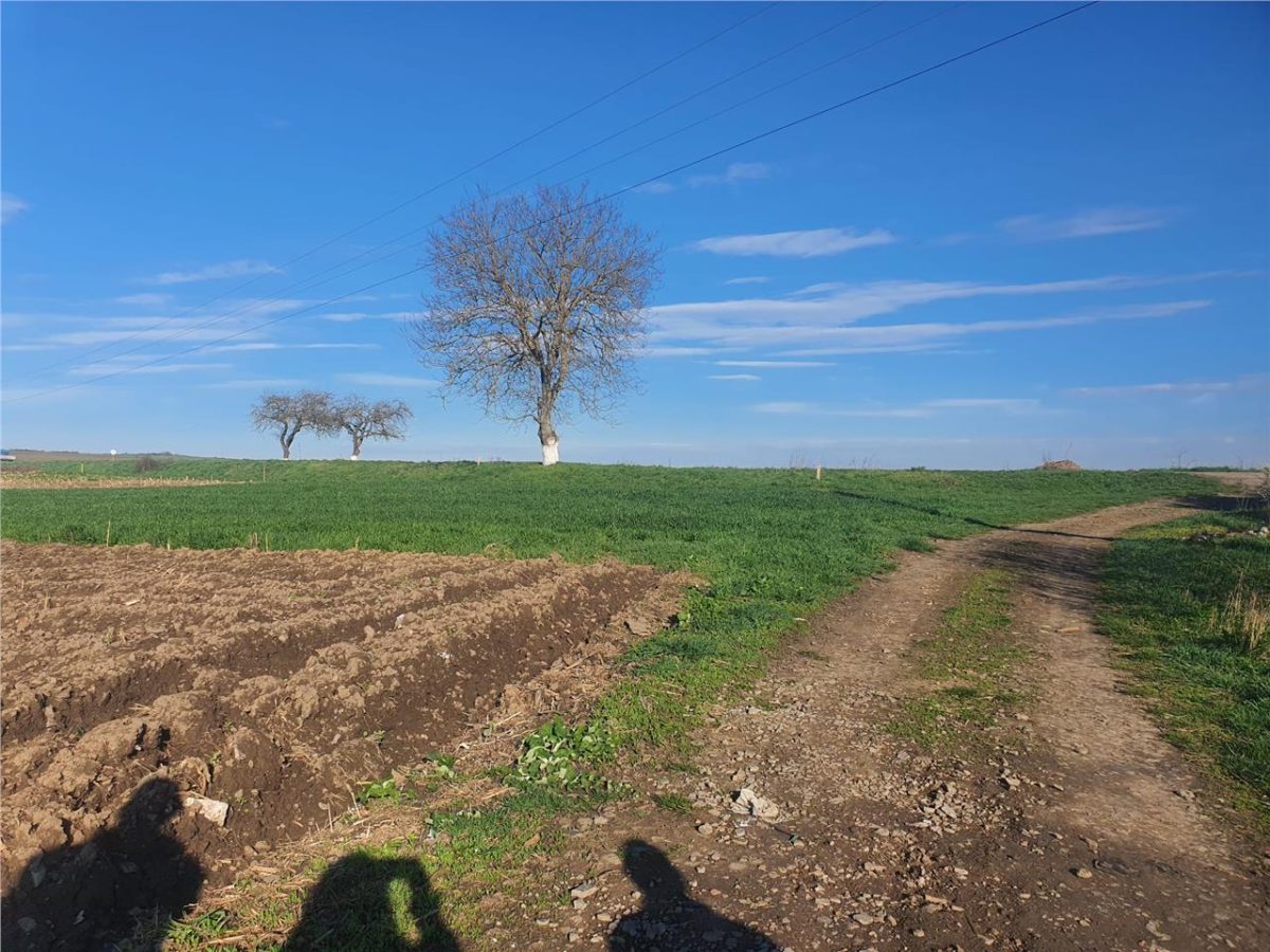 Teren extravilan 4.500- max.18.300mp in comuna Rosia (17 km de Sibiu) - foto 5