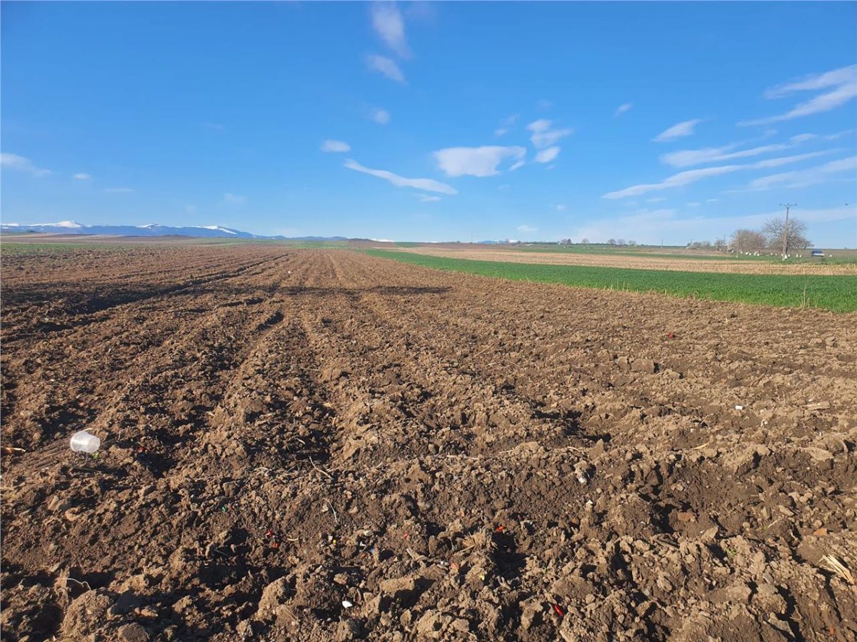 Teren extravilan 4.500- max.18.300mp in comuna Rosia (17 km de Sibiu) - foto 6