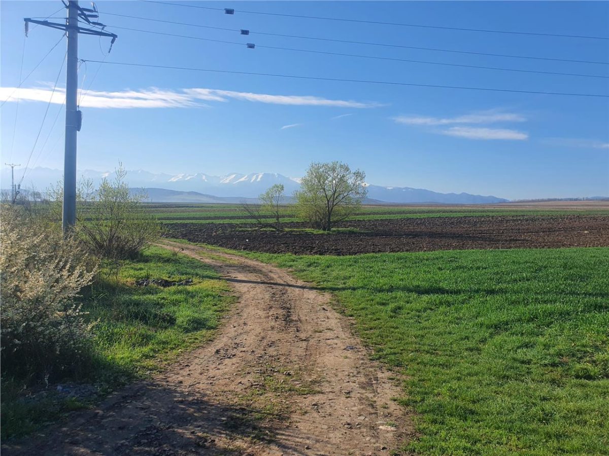 Teren extravilan 4.500- max.18.300mp in comuna Rosia (17 km de Sibiu) - foto 7