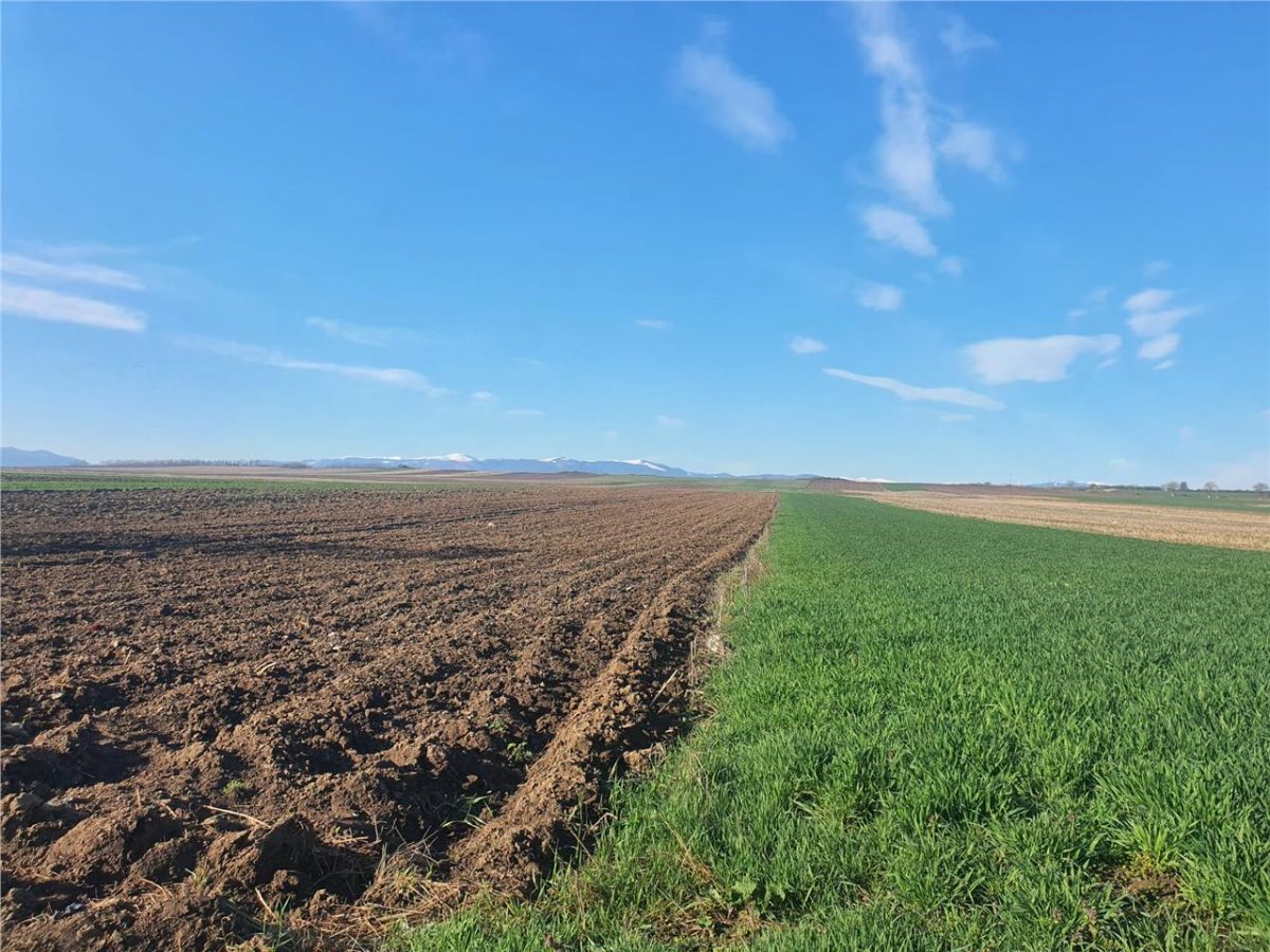 Teren extravilan 4.500- max.18.300mp in comuna Rosia (17 km de Sibiu) - foto 8