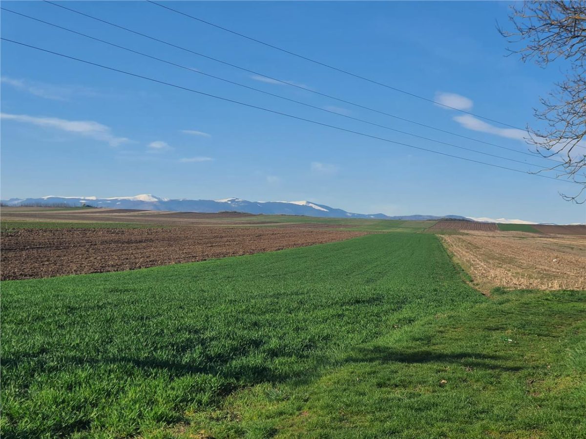 Teren extravilan 4.500- max.18.300mp in comuna Rosia (17 km de Sibiu) - foto 9