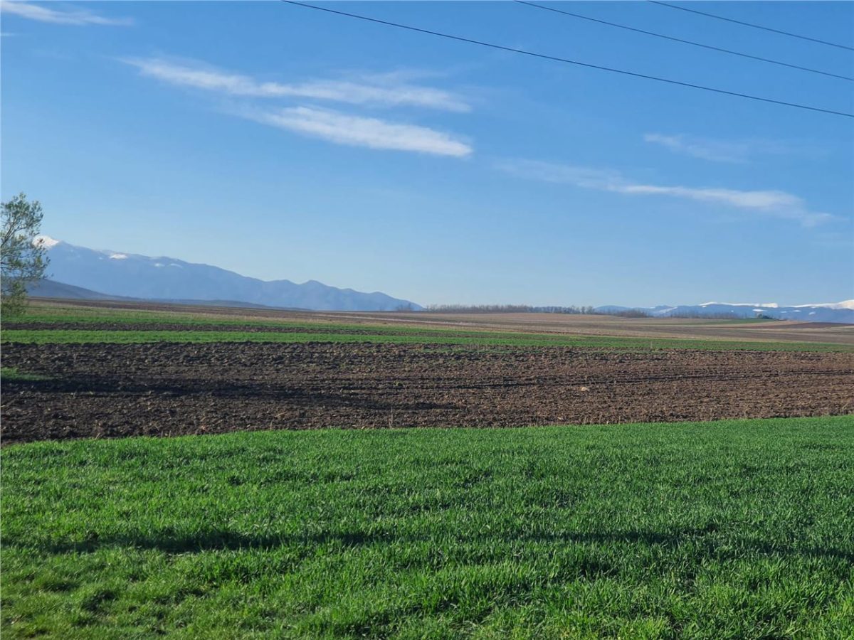 Teren extravilan 4.500- max.18.300mp in comuna Rosia (17 km de Sibiu) - foto 10