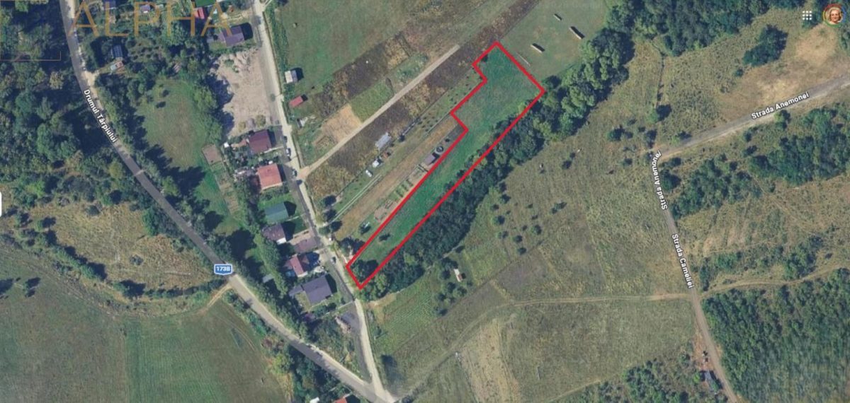Teren extravilan la limita cu intravilan â€“ Strada Tarpiului, Bistrita - 