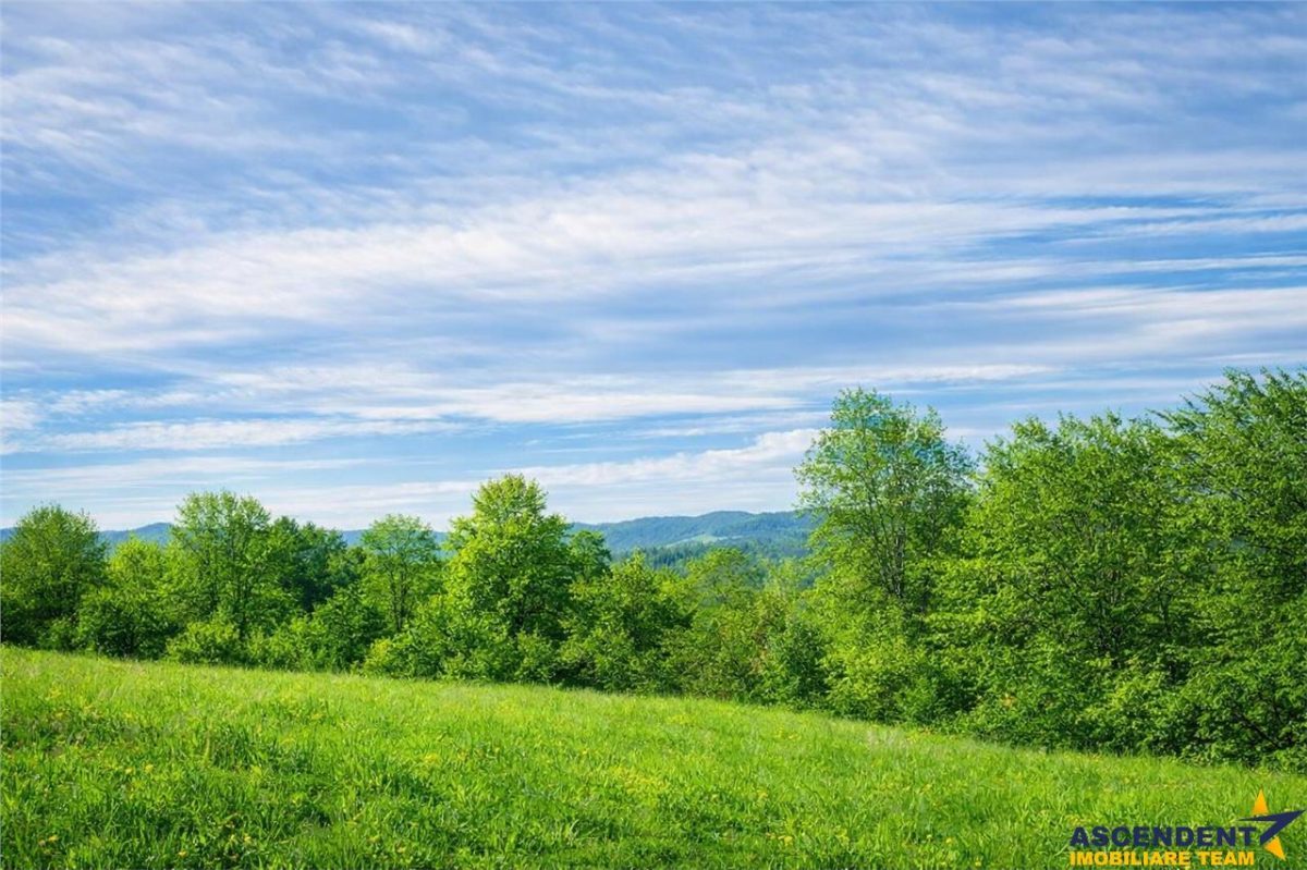 11.600mp teren, partial extravilan,Valea Mare Pravat, 2 km de Campulung Muscel - 