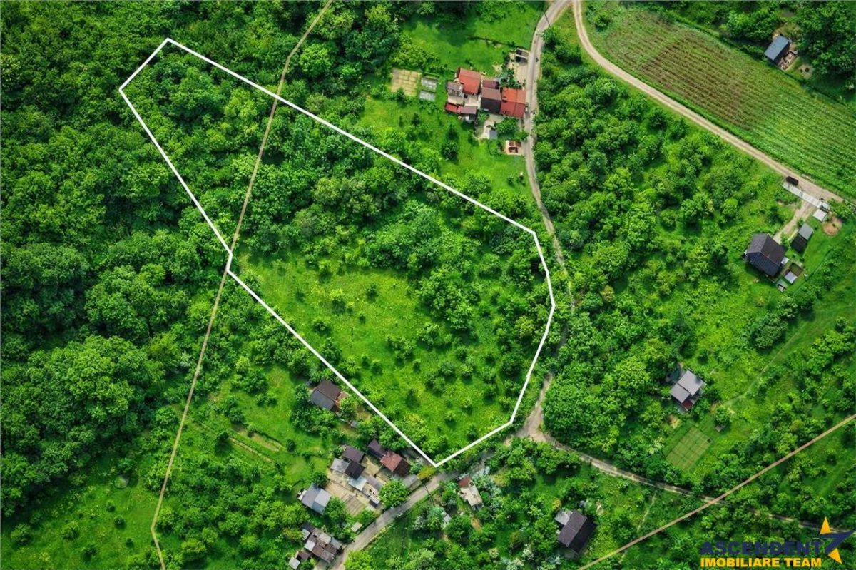 11.600mp teren, partial extravilan,Valea Mare Pravat, 2 km de Campulung Muscel - foto 2