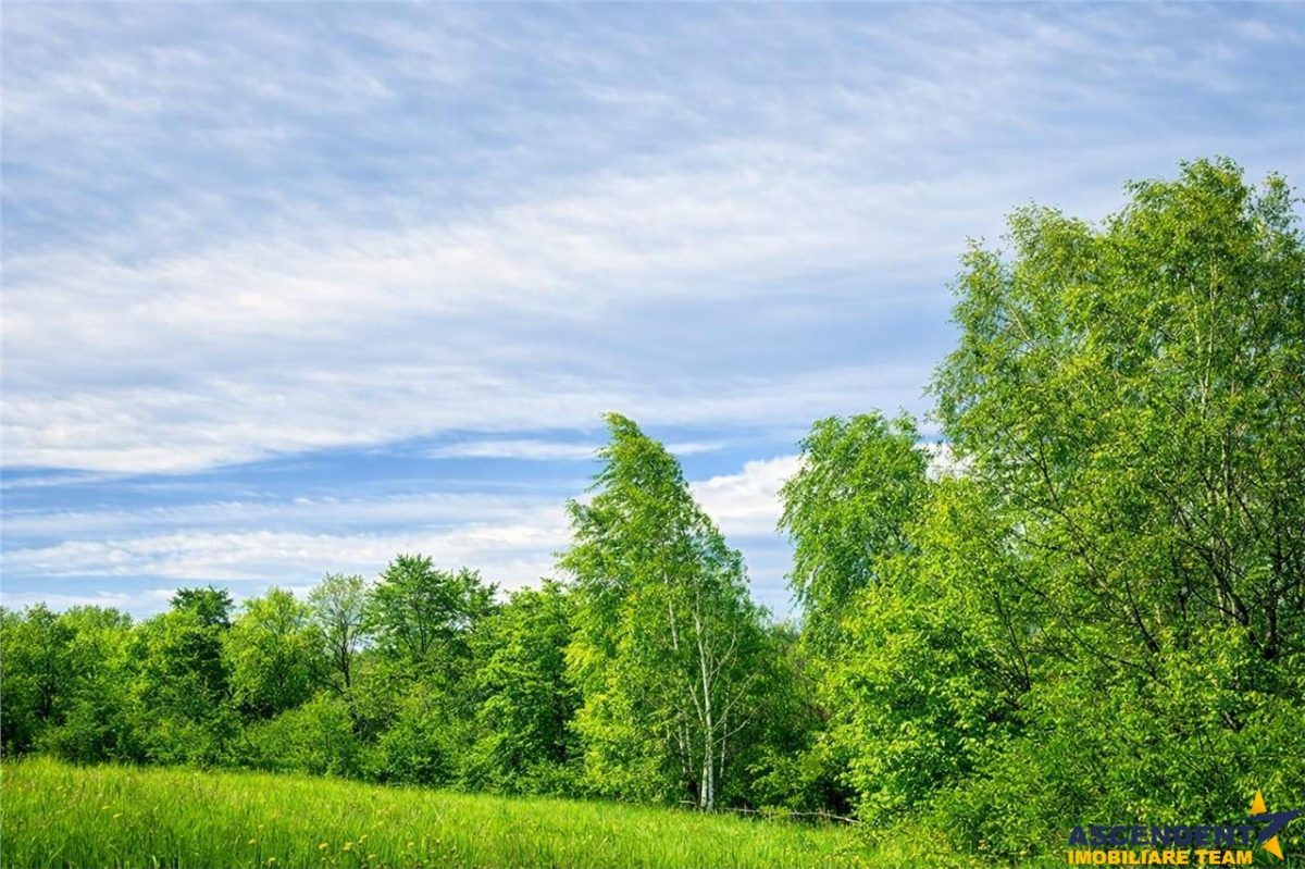 11.600mp teren, partial extravilan,Valea Mare Pravat, 2 km de Campulung Muscel - foto 4