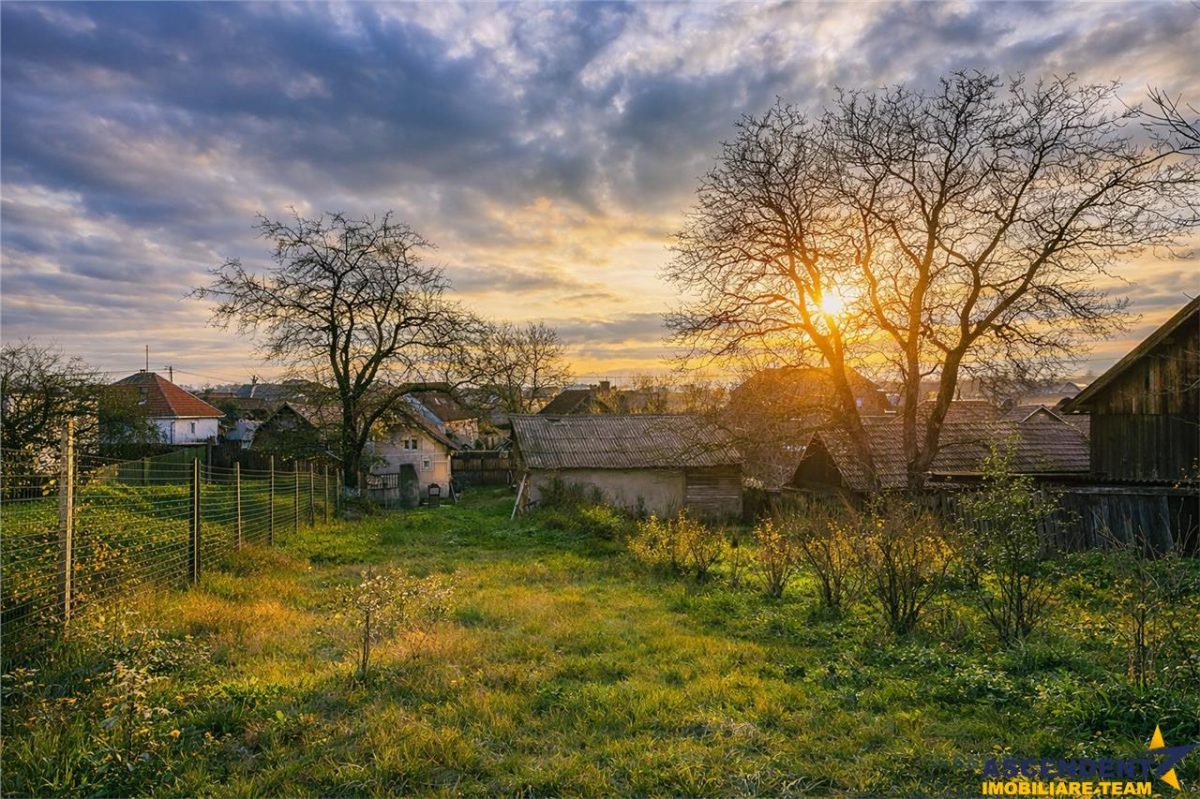 FILM! Gospodarie cu atmosfera traditionala,1.032 mp de verde si gradinarit, Sanzaieni, Covasna - foto 3