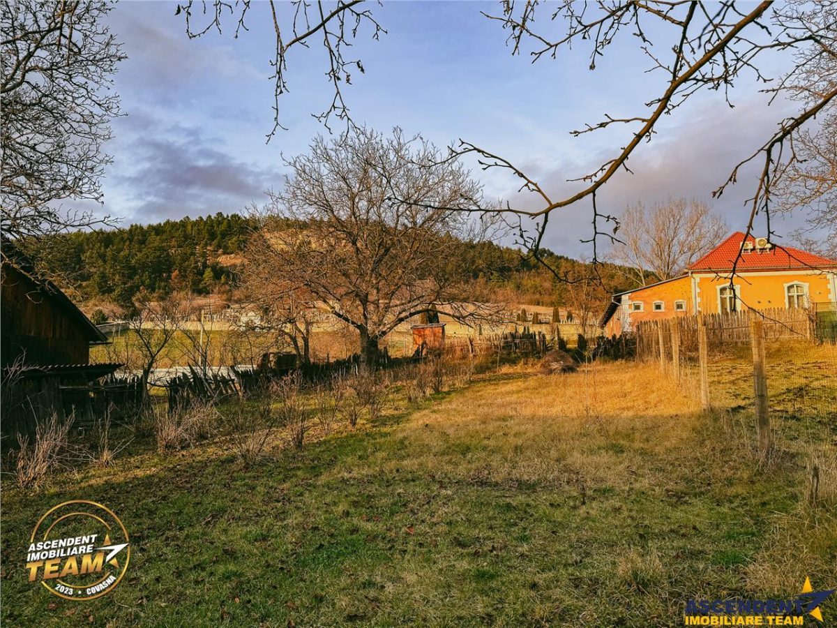FILM! Gospodarie cu atmosfera traditionala,1.032 mp de verde si gradinarit, Sanzaieni, Covasna - foto 25
