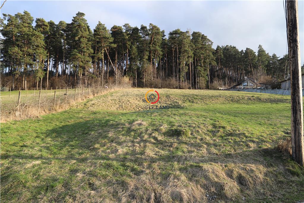 teren insorit cu panorama deosebita - foto 2