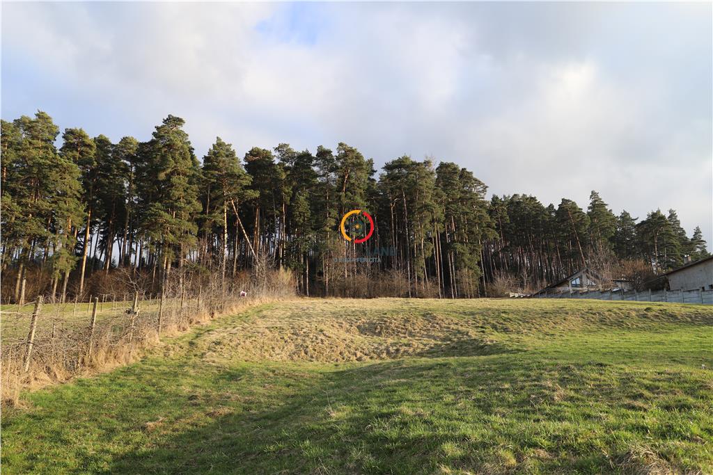 teren insorit cu panorama deosebita - foto 3