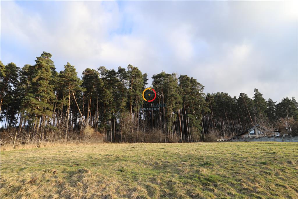 teren insorit cu panorama deosebita - foto 6