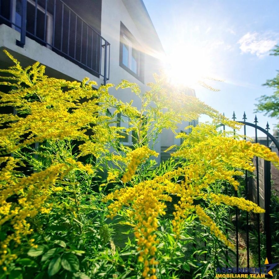 Constructie noua, curte individuala, terasa, toate utilitatile, Izvor-Tarlungeni, Brasov - foto 2