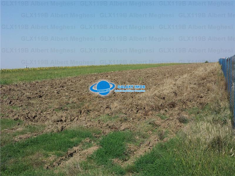 Vanzare Teren Intravilan  Herasti Giurgiu 2 HA - 