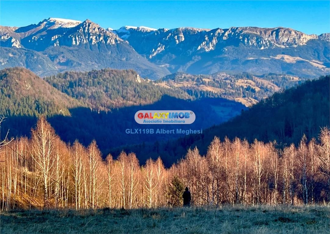 Vanzare teren intravilan  10818 mp , 47 ml la DN 73 Moieciu de Jos - 