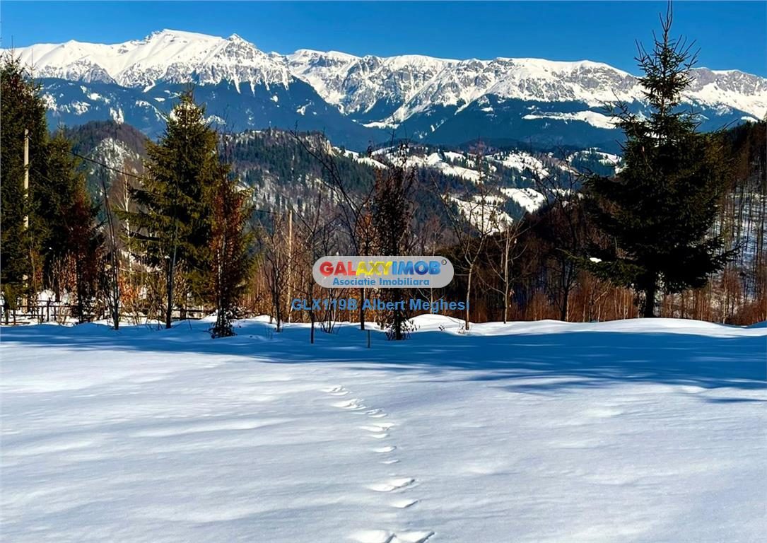 Vanzare teren intravilan  10818 mp , 47 ml la DN 73 Moieciu de Jos - foto 2