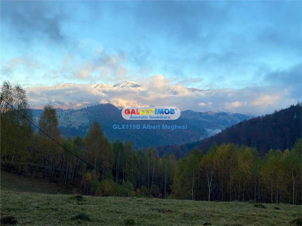 Vanzare teren intravilan  10818 mp , 47 ml la DN 73 Moieciu de Jos - foto 4