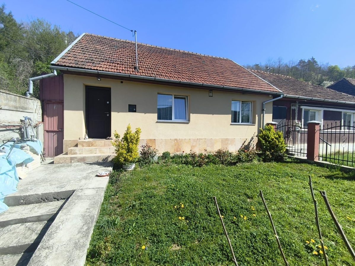 Resita Casa Cartier Muncitoresc - foto 3