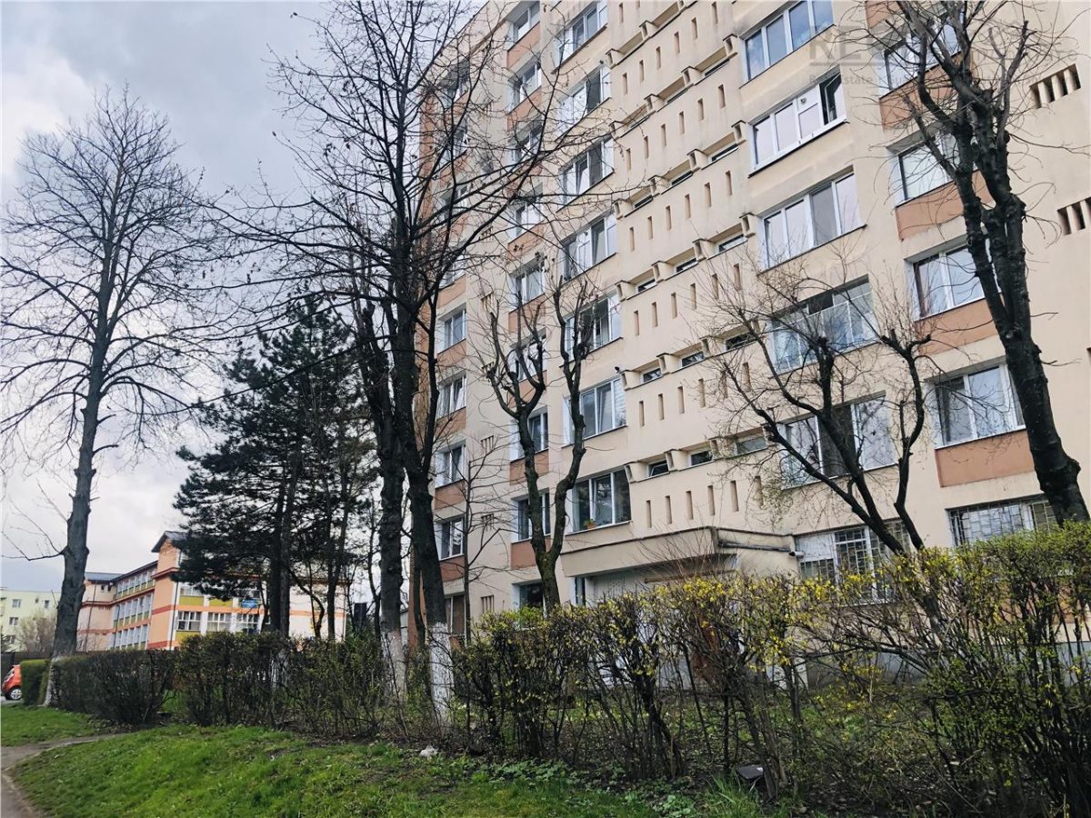 BLV. VICTORIEI 2 Camere etaj intermediar, Panorama - foto 21