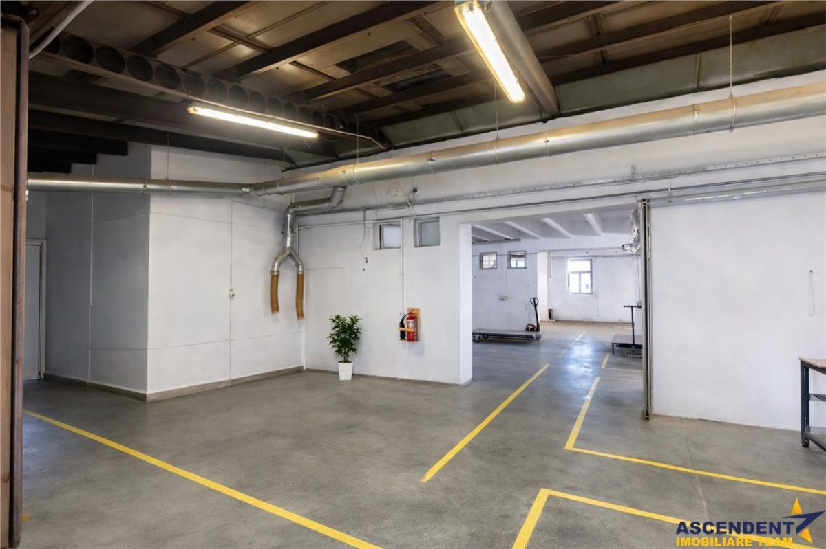 Parc industrial modernizat, acces bilateral, potential remarcabil, Sfantu Gheorghe - foto 11