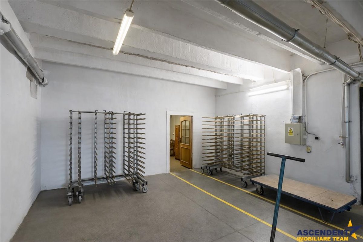 Parc industrial modernizat, acces bilateral, potential remarcabil, Sfantu Gheorghe - foto 12