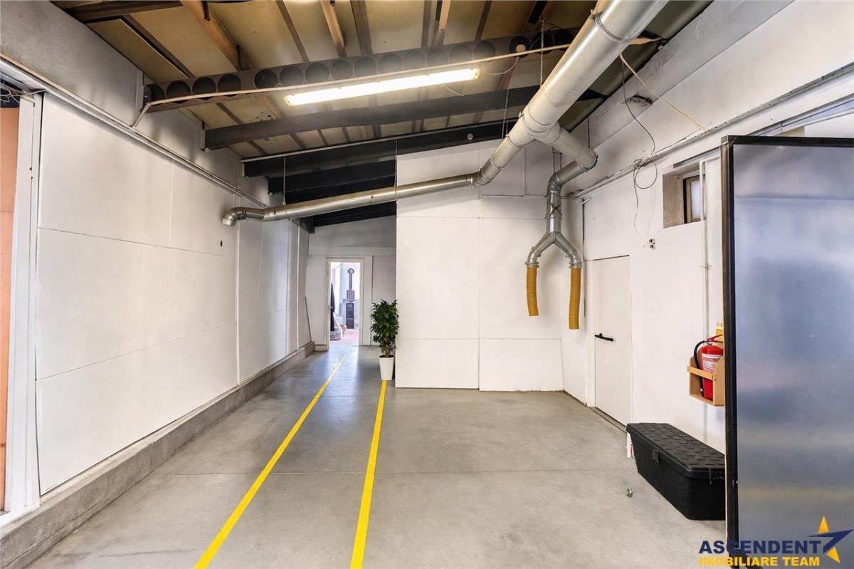 Parc industrial modernizat, acces bilateral, potential remarcabil, Sfantu Gheorghe - foto 14