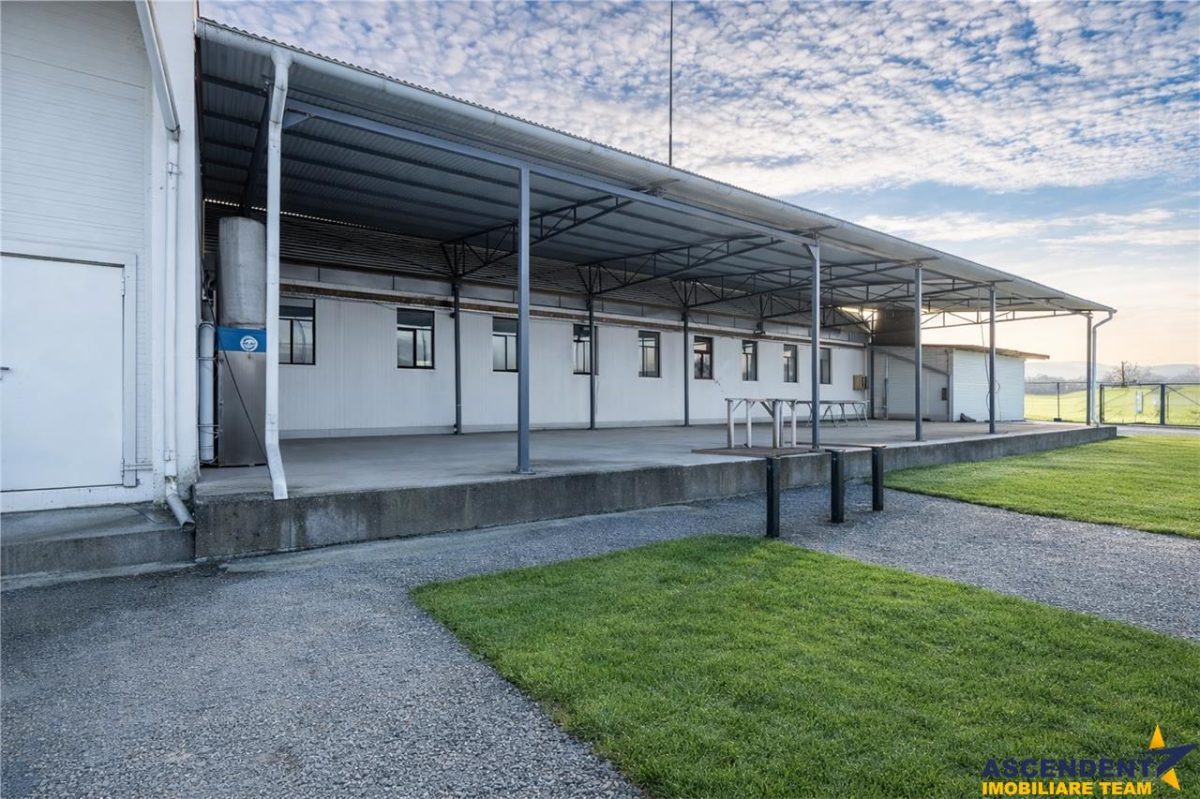 Parc industrial modernizat, acces bilateral, potential remarcabil, Sfantu Gheorghe - foto 15