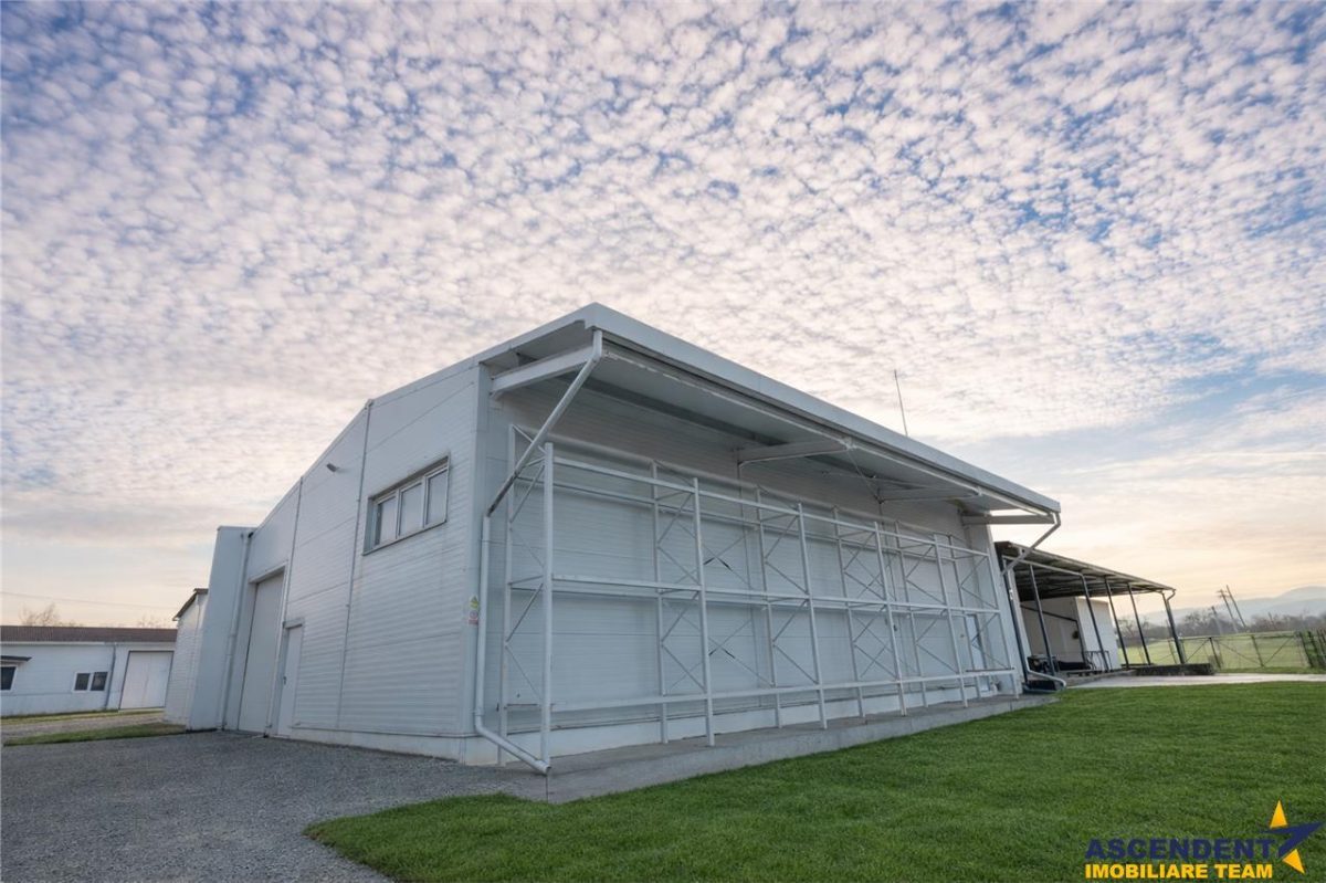 Parc industrial modernizat, acces bilateral, potential remarcabil, Sfantu Gheorghe - foto 5