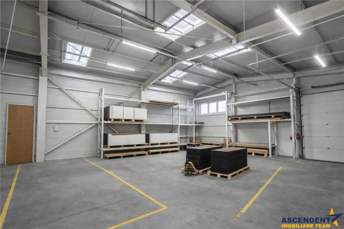 Parc industrial modernizat, acces bilateral, potential remarcabil, Sfantu Gheorghe - foto 6