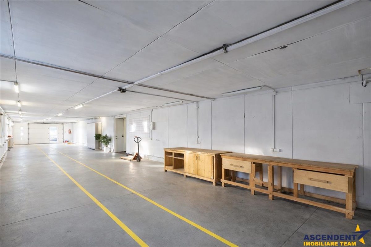Parc industrial modernizat, acces bilateral, potential remarcabil, Sfantu Gheorghe - foto 9