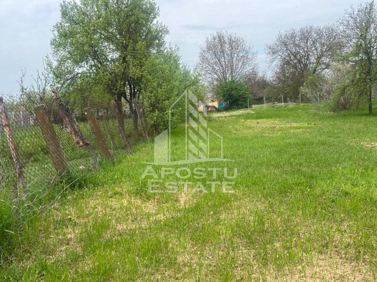 Teren de vanzare, 1001 mp, vatra veche, in Sanandrei, Timis - 