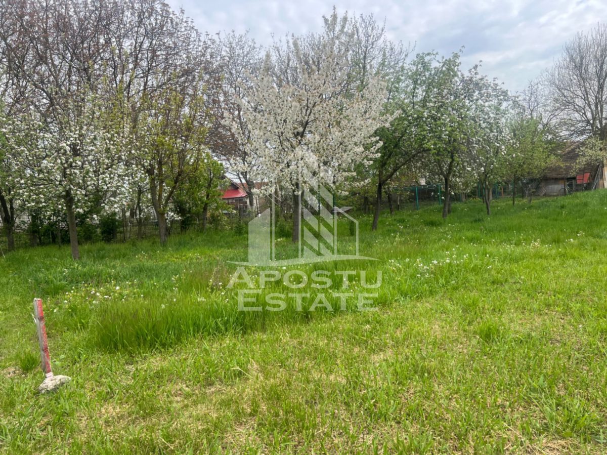 Teren de vanzare, 1001 mp, vatra veche, in Sanandrei, Timis - foto 2