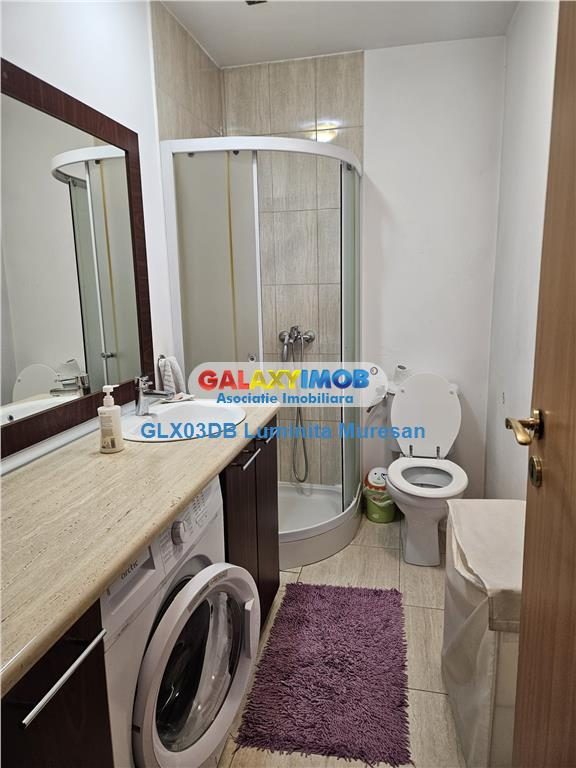 Vanzare casa P + M  5 camere Valea Voievozilor  Razvad - foto 9