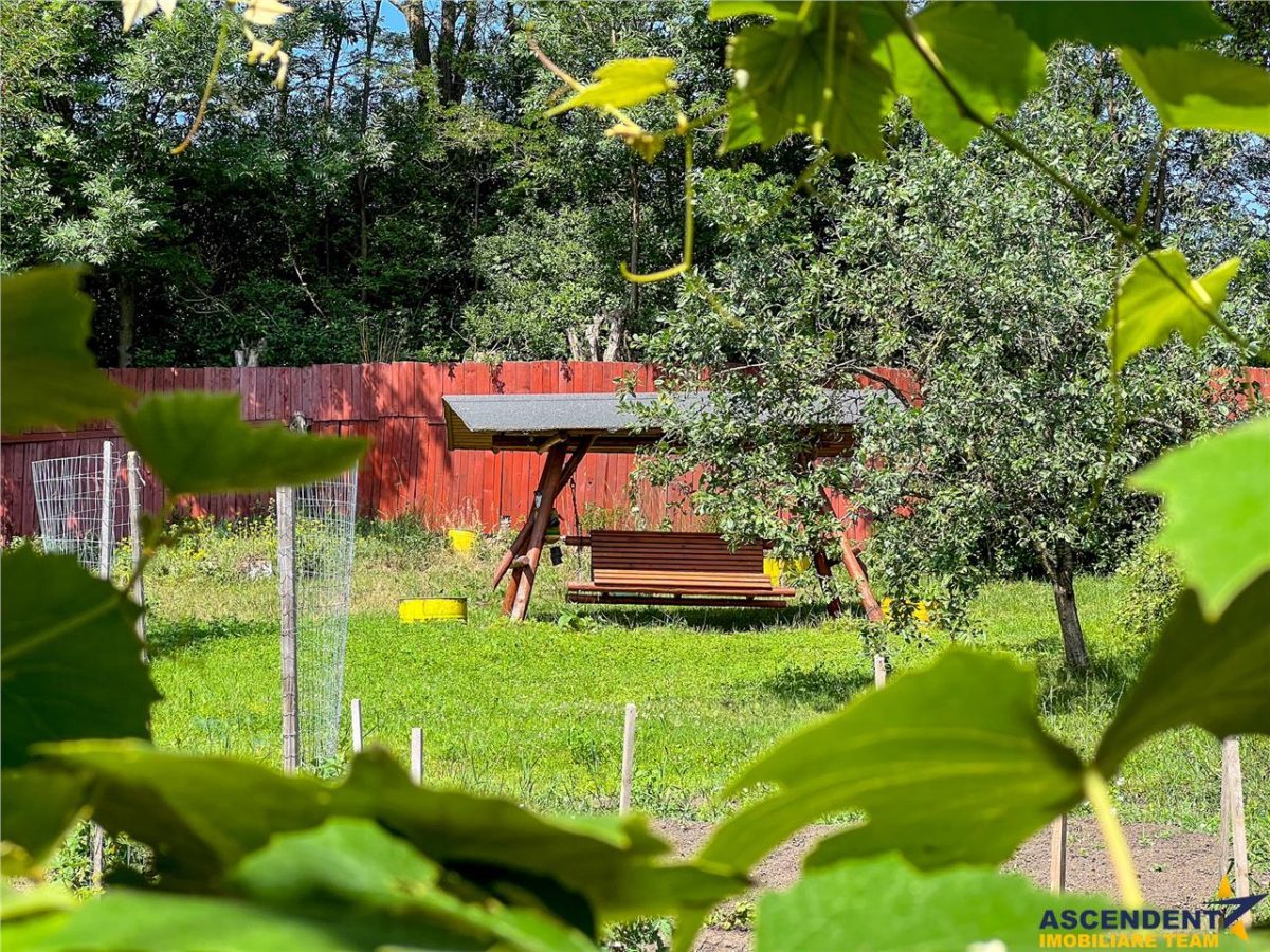 Casa primitoare in decor valoros, rodnic teren de 850mp, Ilieni, Covasna: FILM! - foto 9