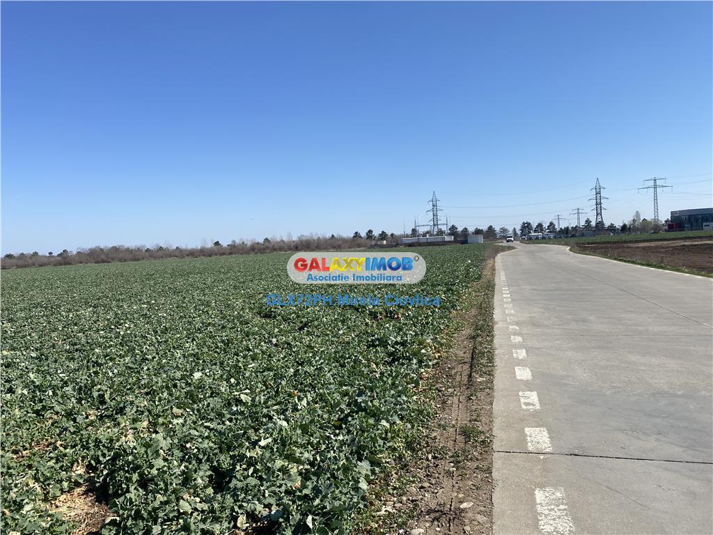 Vanzare teren industrial Paulesti Prahova gata de construit - foto 5