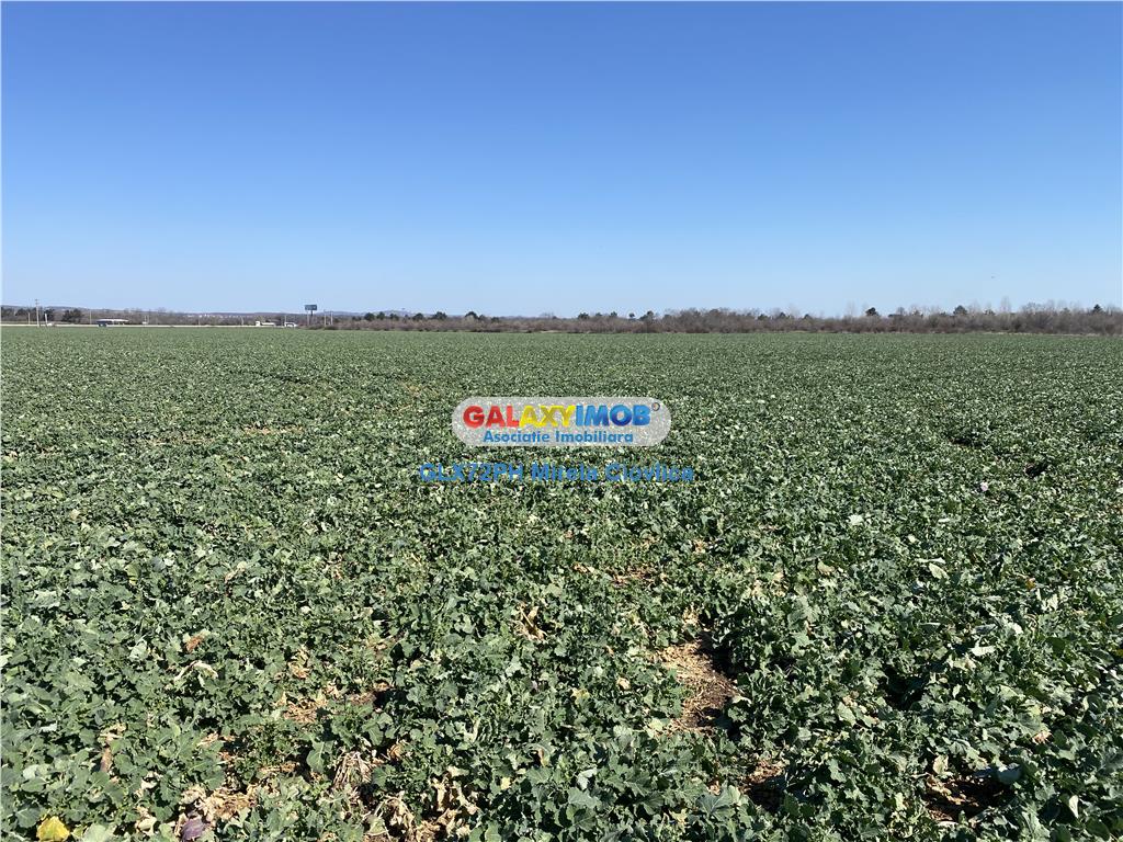 Vanzare teren industrial Paulesti Prahova gata de construit - foto 6