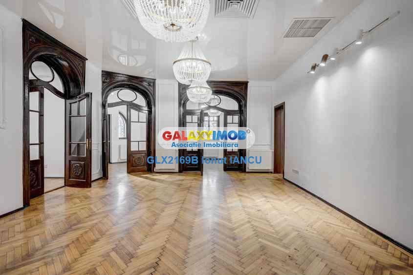 VILA PRESTIGIU PLEVNEI COLT cu CONSTANTIN NOICA - 255 MP - foto 2