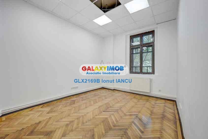 VILA PRESTIGIU PLEVNEI COLT cu CONSTANTIN NOICA - 255 MP - foto 13