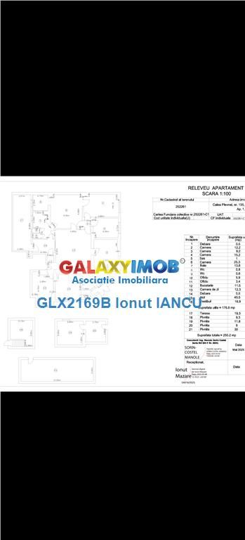 VILA PRESTIGIU PLEVNEI COLT cu CONSTANTIN NOICA - 255 MP - foto 6