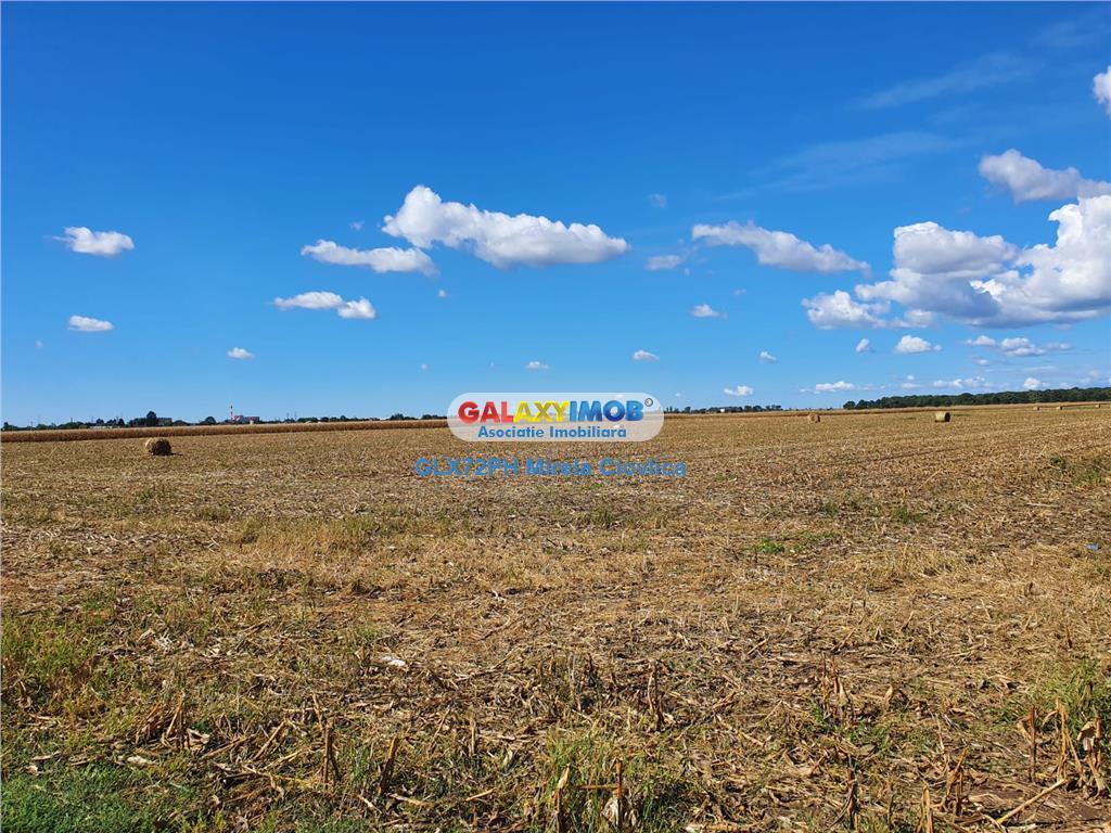 Vanzare teren intravilan Paulesti Prahova cu PUZ - foto 8